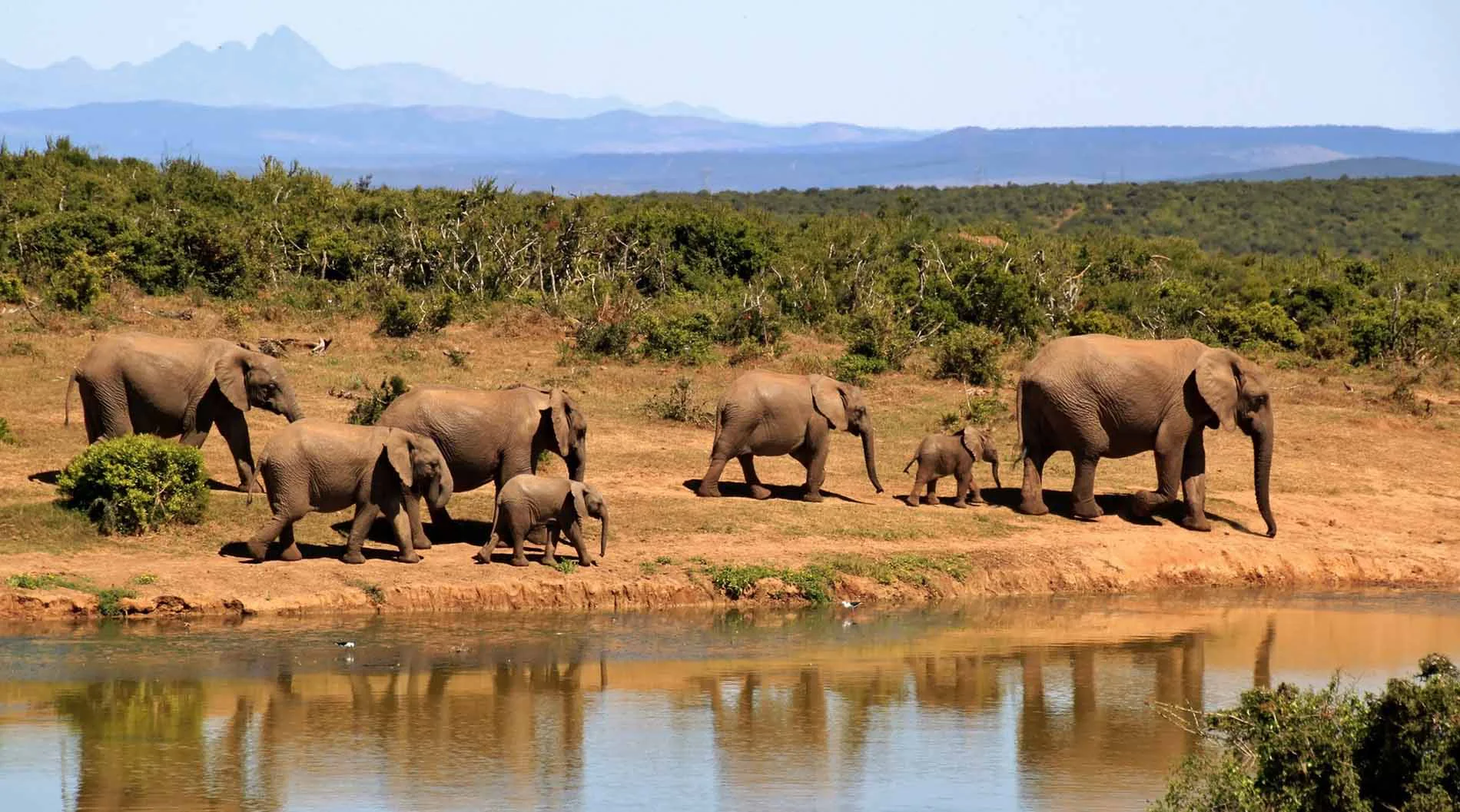 Amboseli to Tsavo West safari