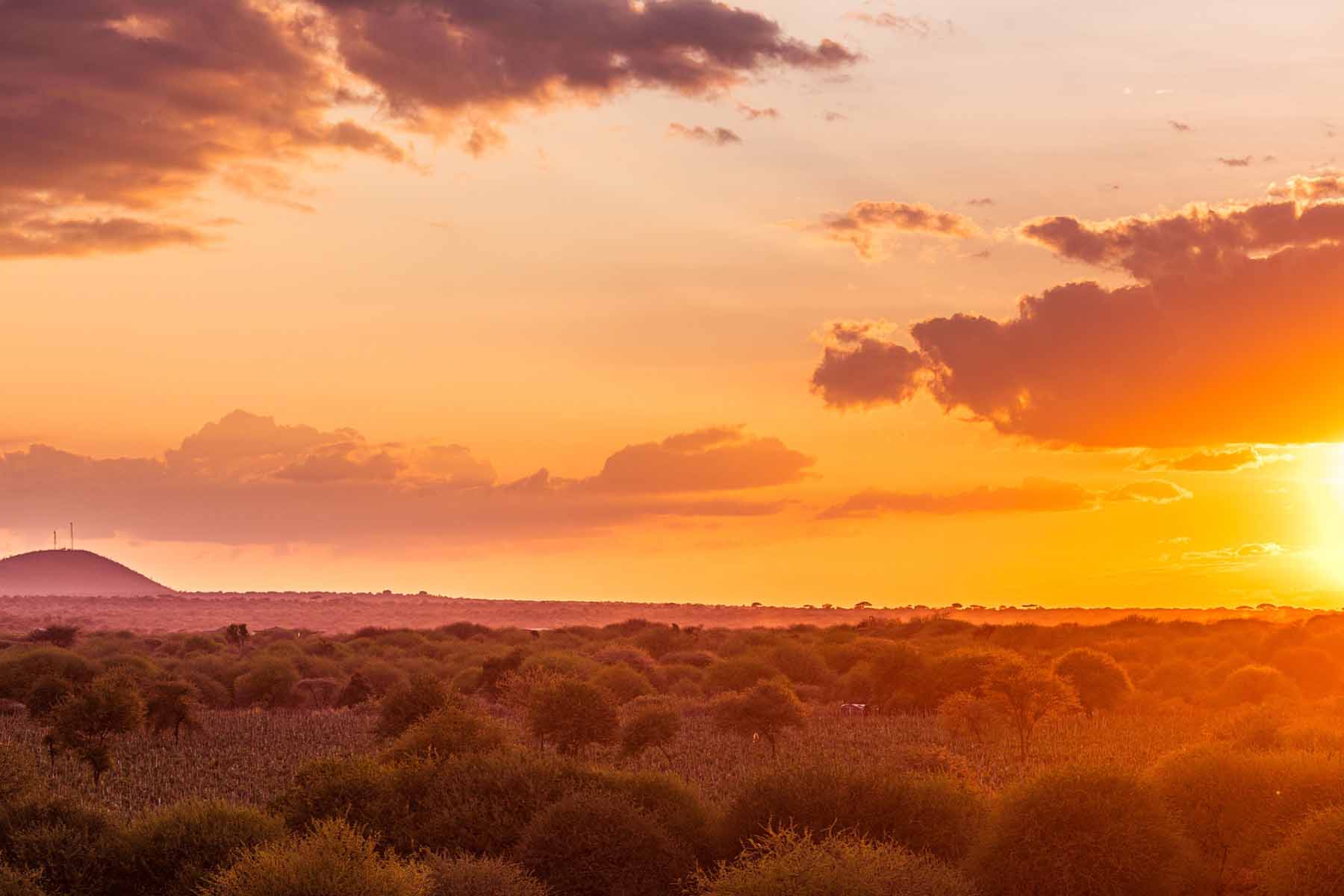 masai-mara-african-sunset