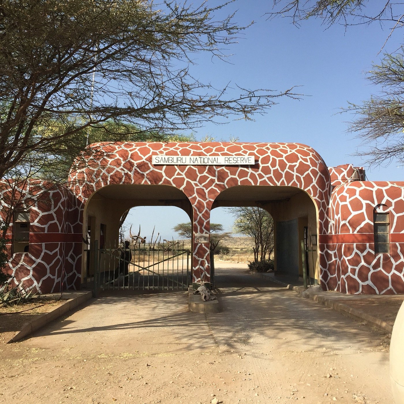 African bird watching safari