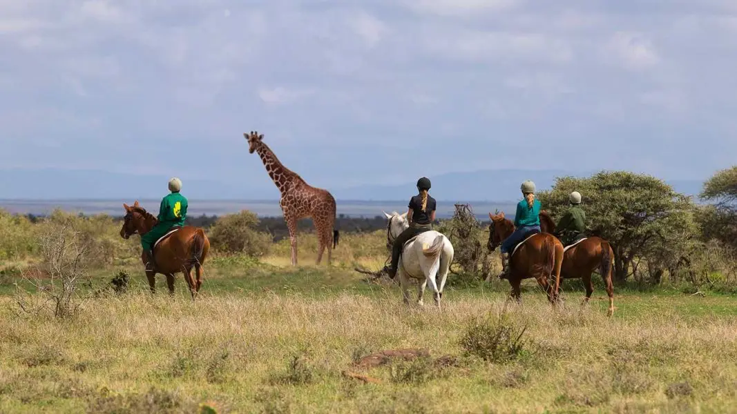 Elewana-Loisaba-Tented-Camp-activities-horse-riding-in-the-conservancy.jpg