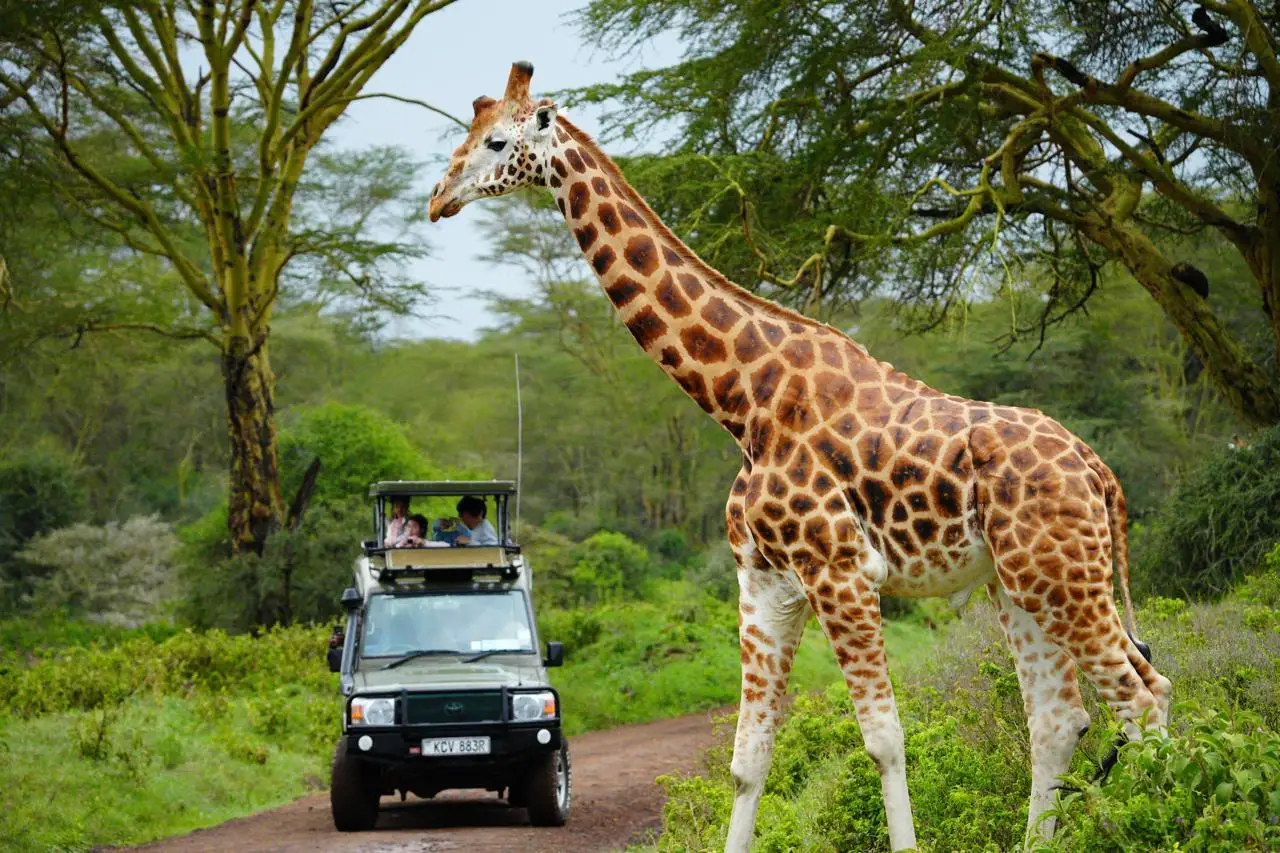 WhatsApp Image 2026-02-27 at 1.07.48 PM