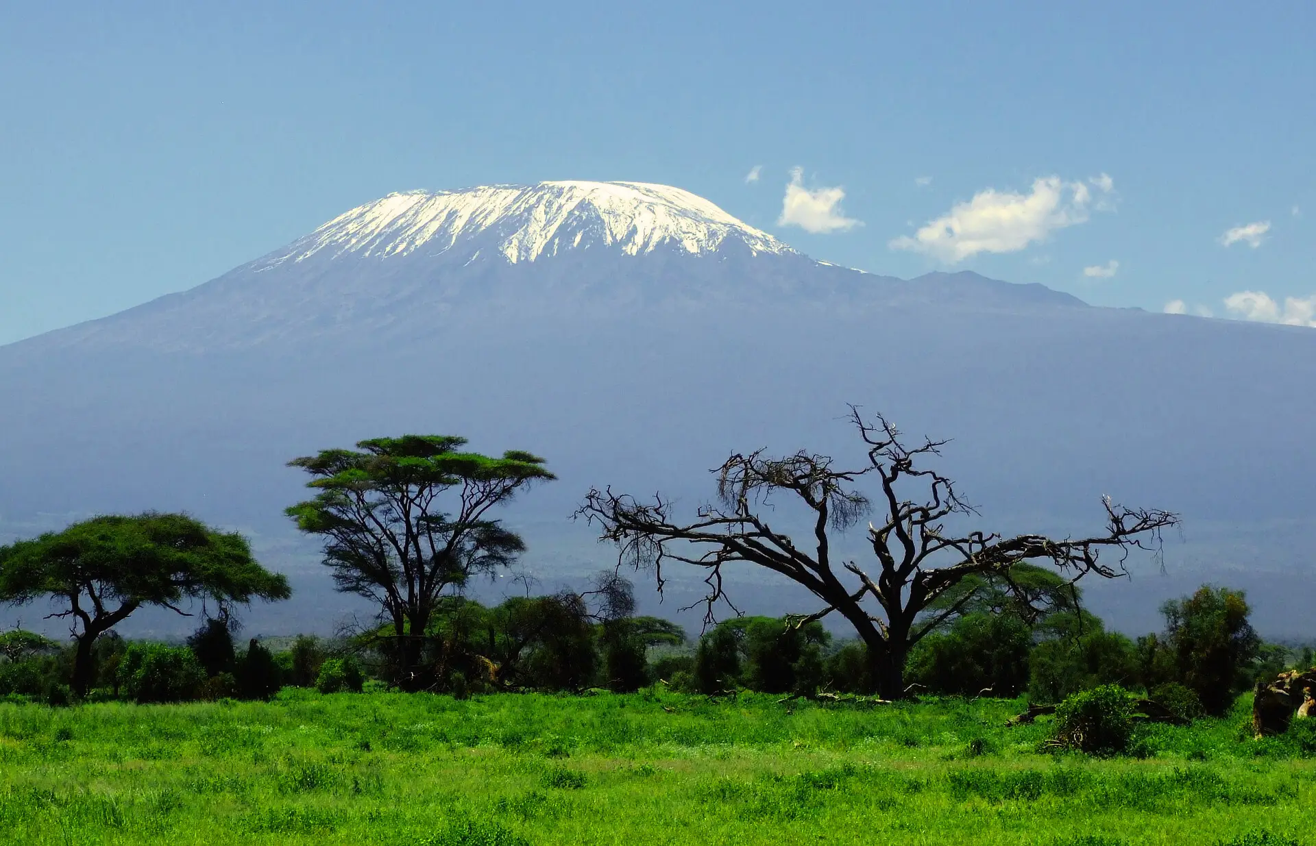 Amboseli wide wildlife scene