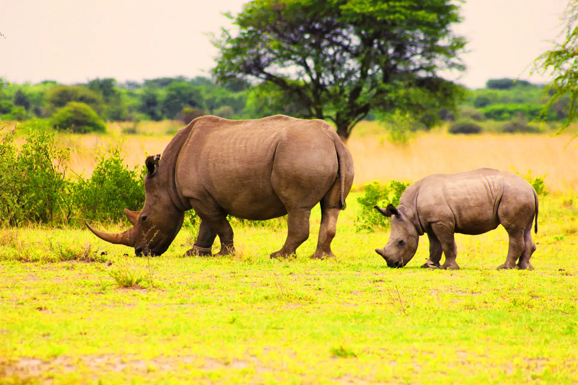 Return journey through Kenya landscape