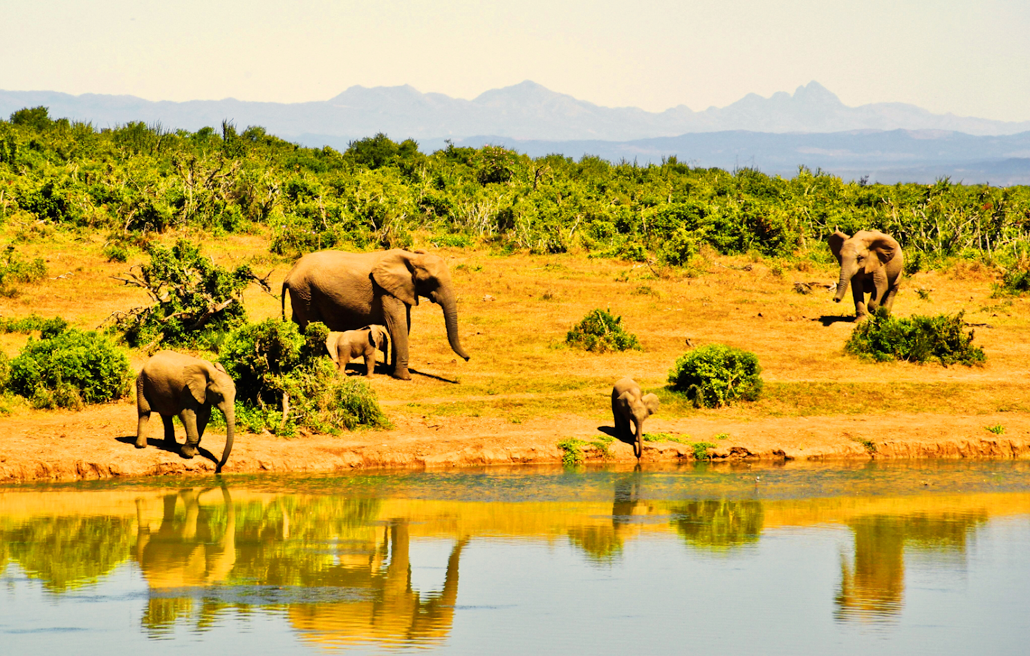 Amboseli to Lake Naivasha safari
