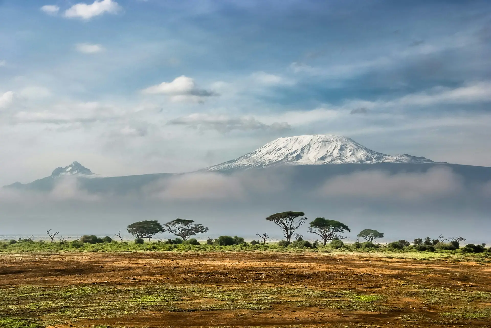 Amboseli elephant landscape