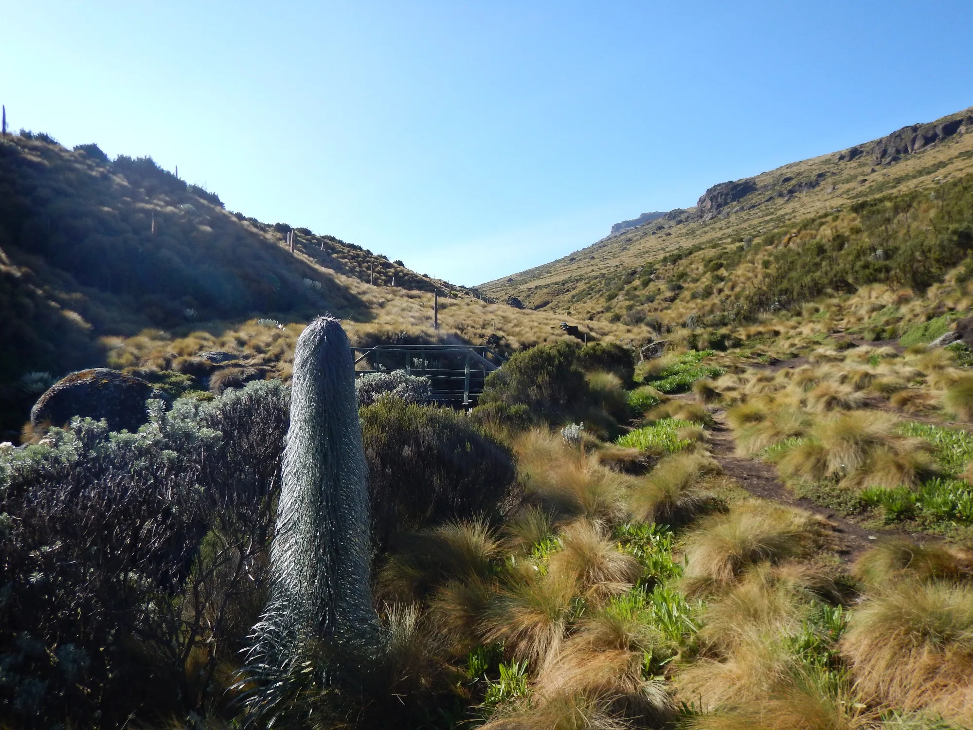 Liki Valley on Mount Kenya