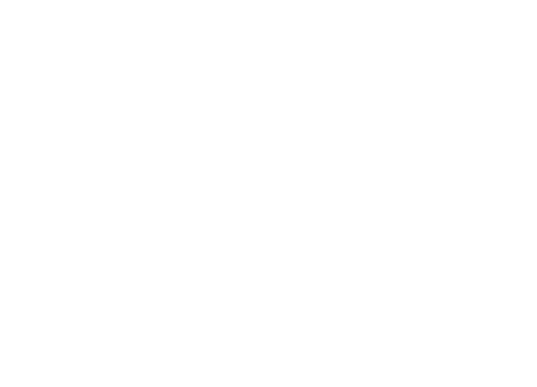Phronesis Tours &amp; Safaris logo