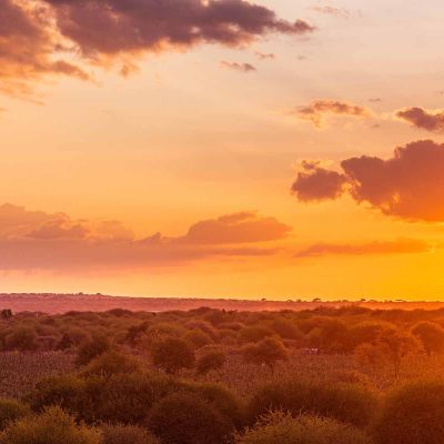 masai-mara-african-sunset