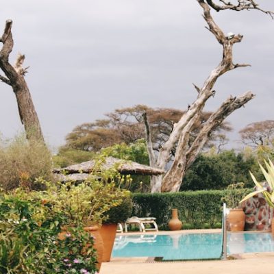 ol-tukai-lodge-amboseli